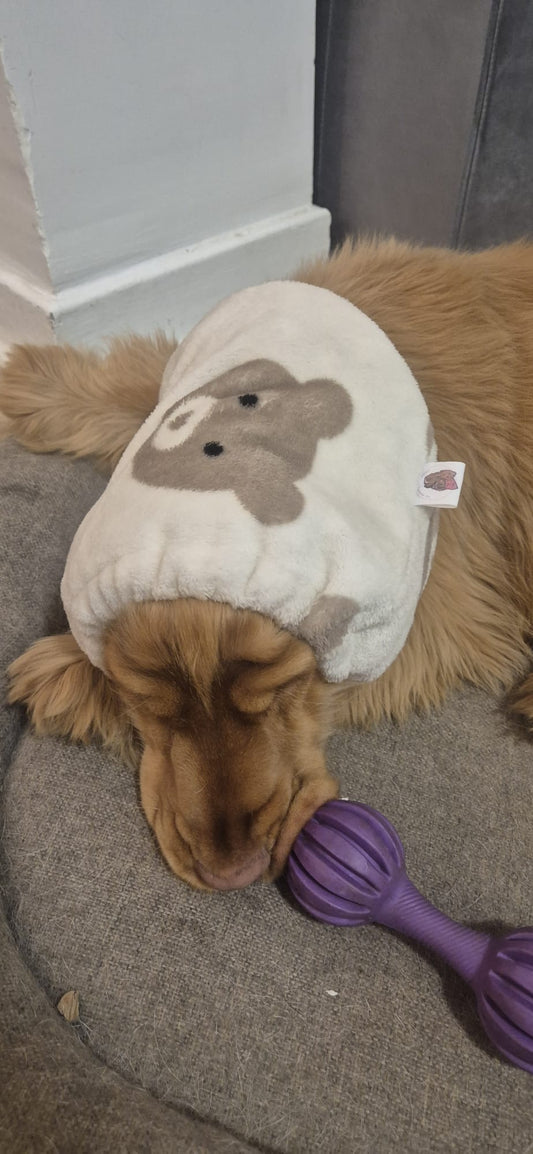 Snood polaire - Ours