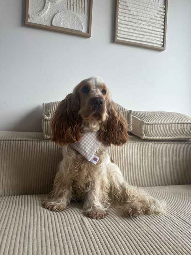 Bandana en coton - vichy