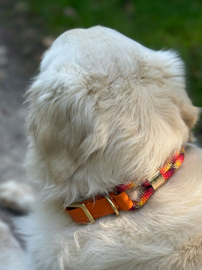 Collier Saïko : corde & biothane - collction automne