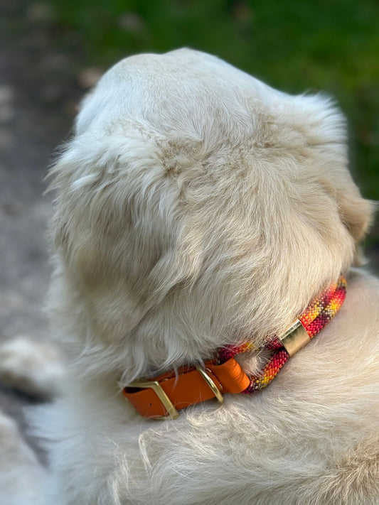 Collier Saïko : corde & biothane - collction automne