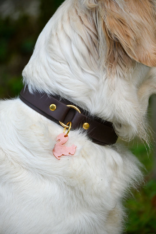 Collier Vaïko - biothane