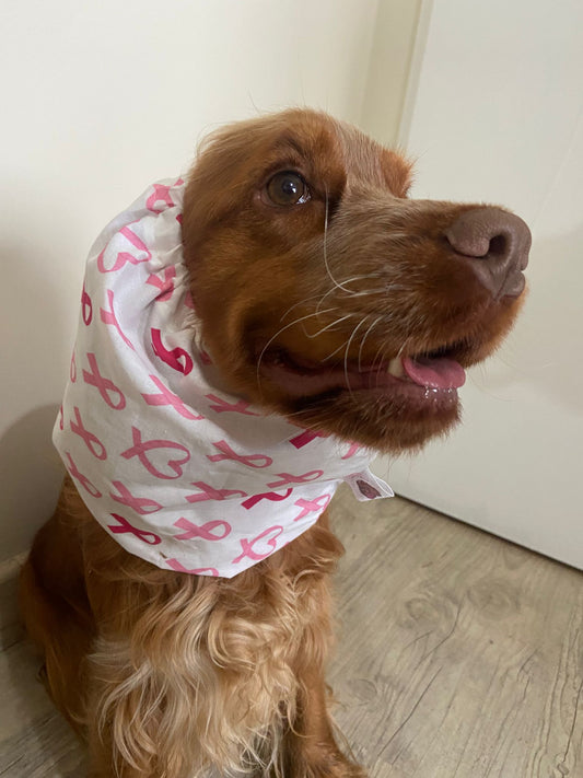 Snood en coton - Octobre rose