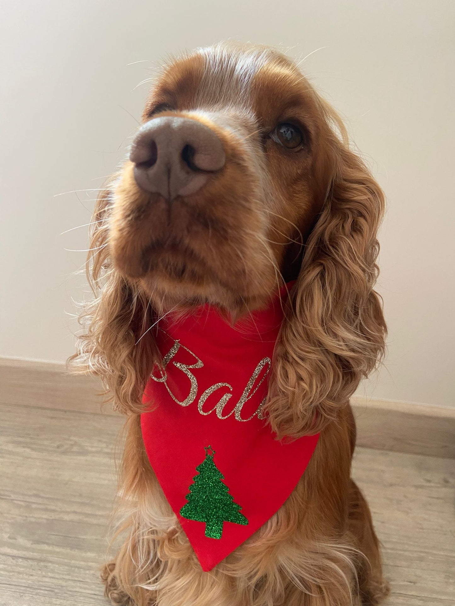 Bandana de Noël personnalisable