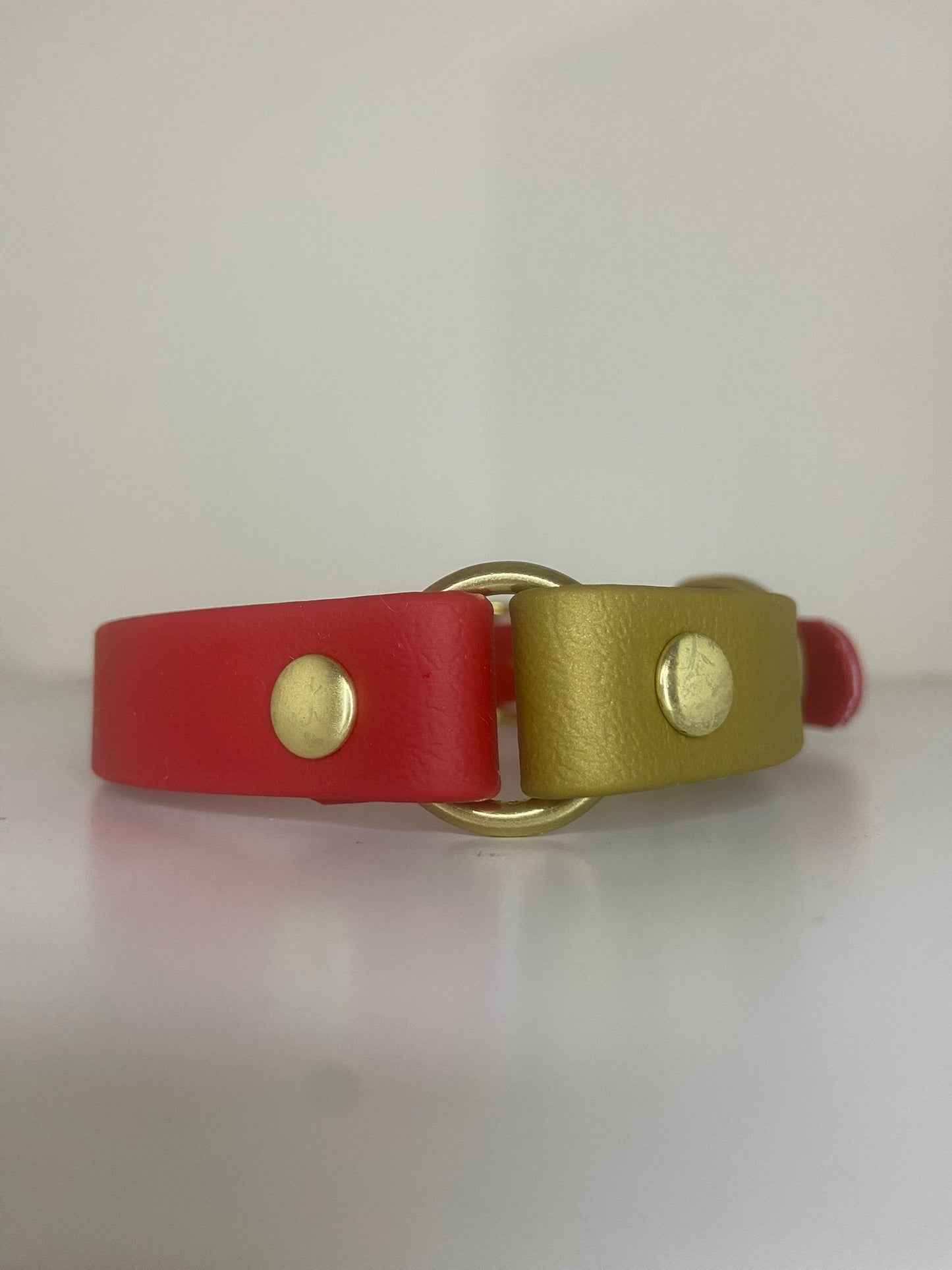 Collier en biothane - bicolore - Noël