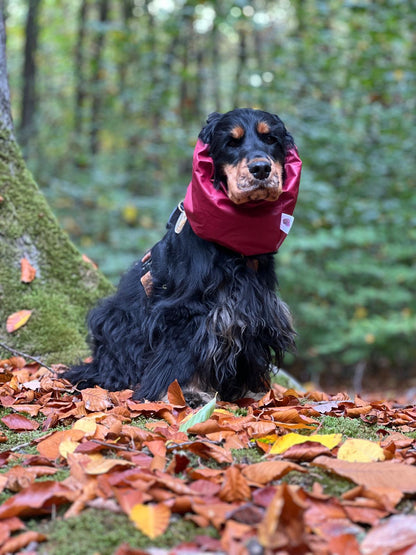 Snood imperméable - uni