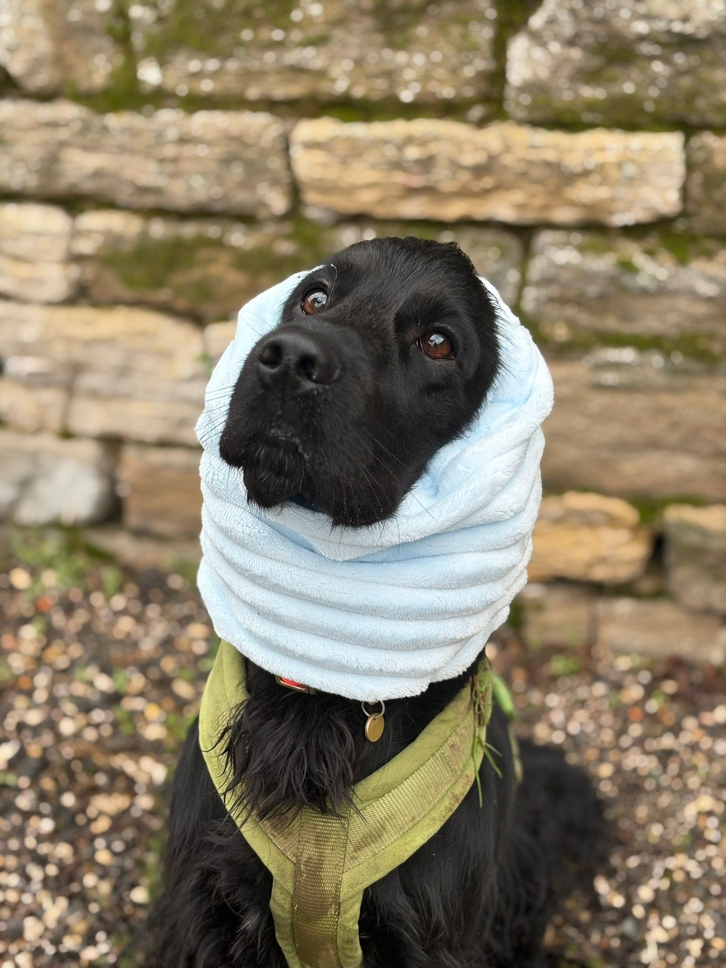 Snood Minky Côtelé