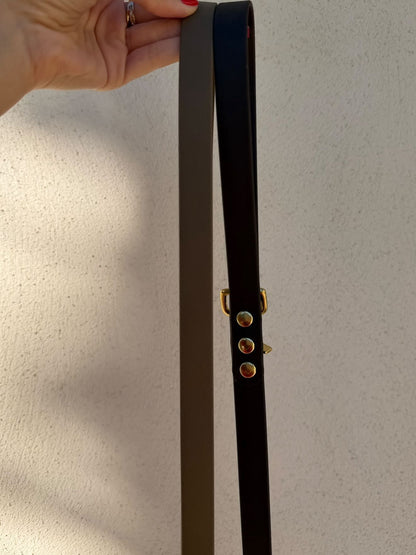 Laisse en biothane bicolore