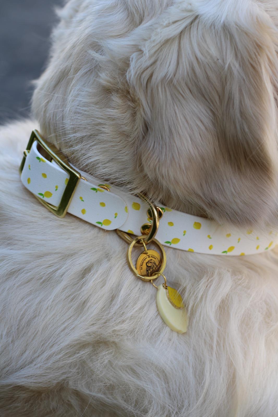 Collier fruité en biothane