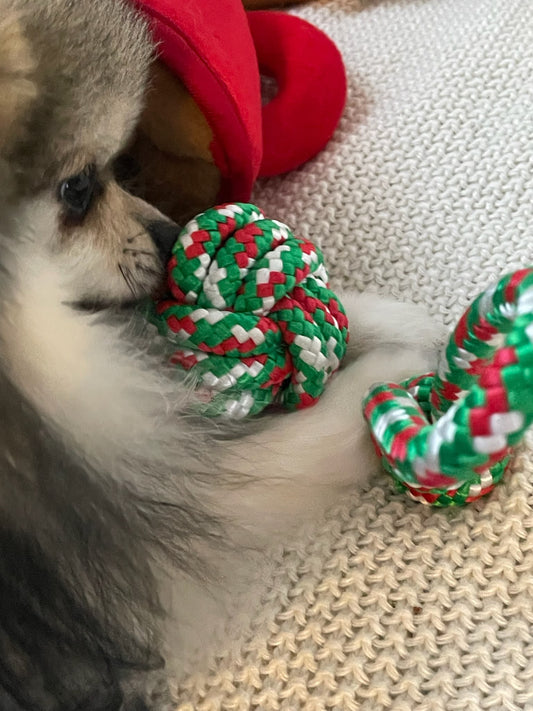 Jeu en corde - Noël