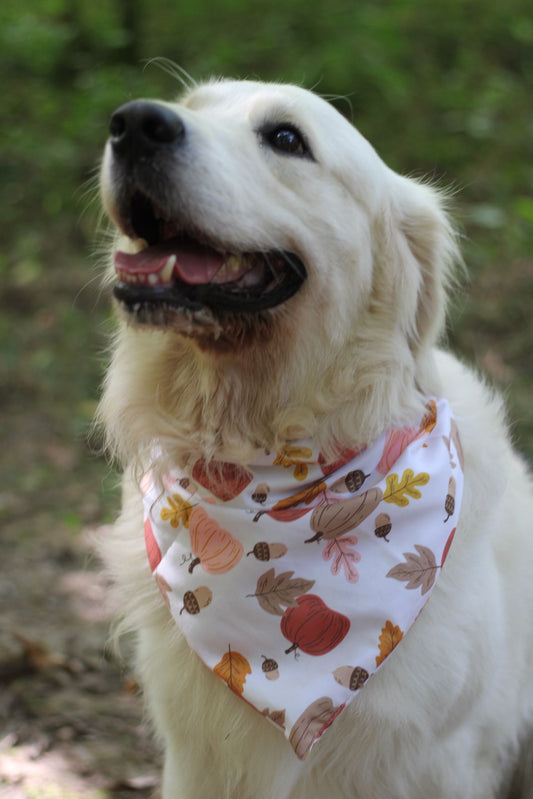 Bandana - collection automne
