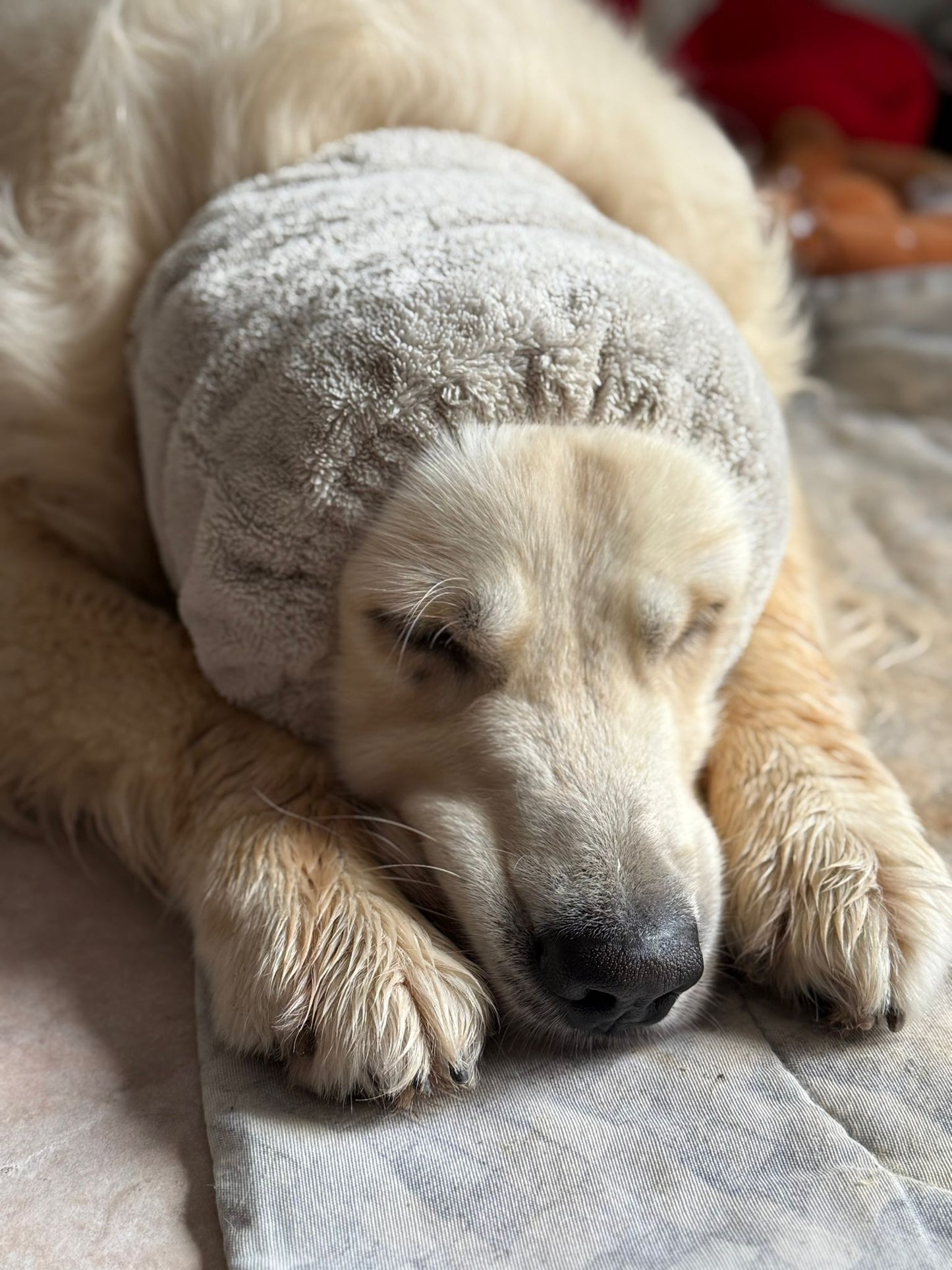 Snood en éponge bambou