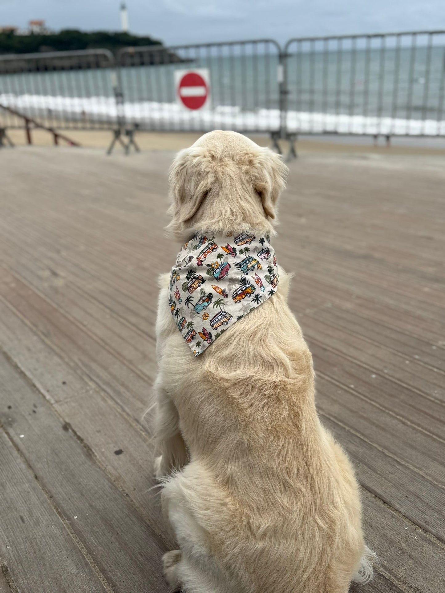 Bandana en coton - motifs