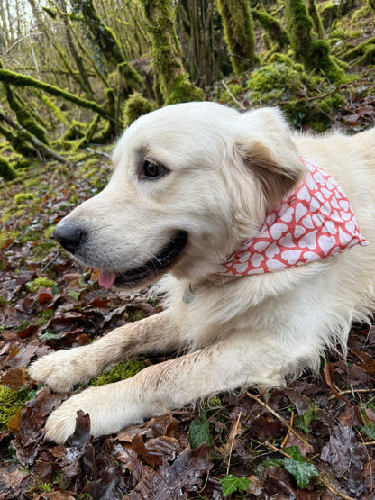 Bandana en coton - motifs
