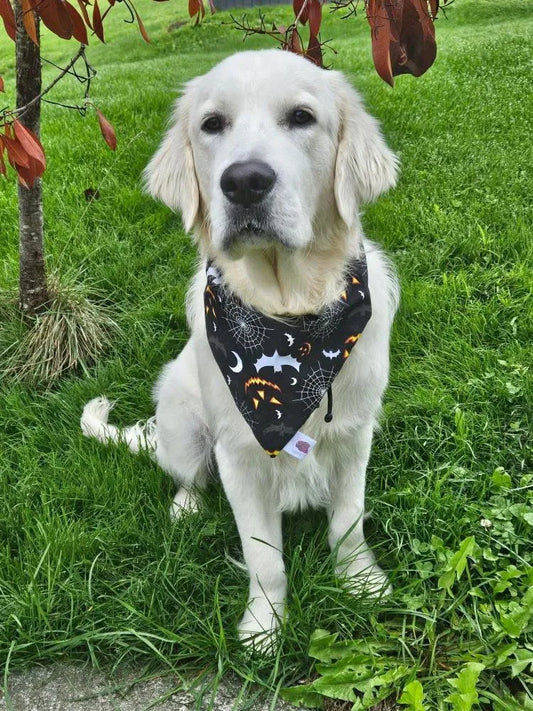 Bandana - Halloween
