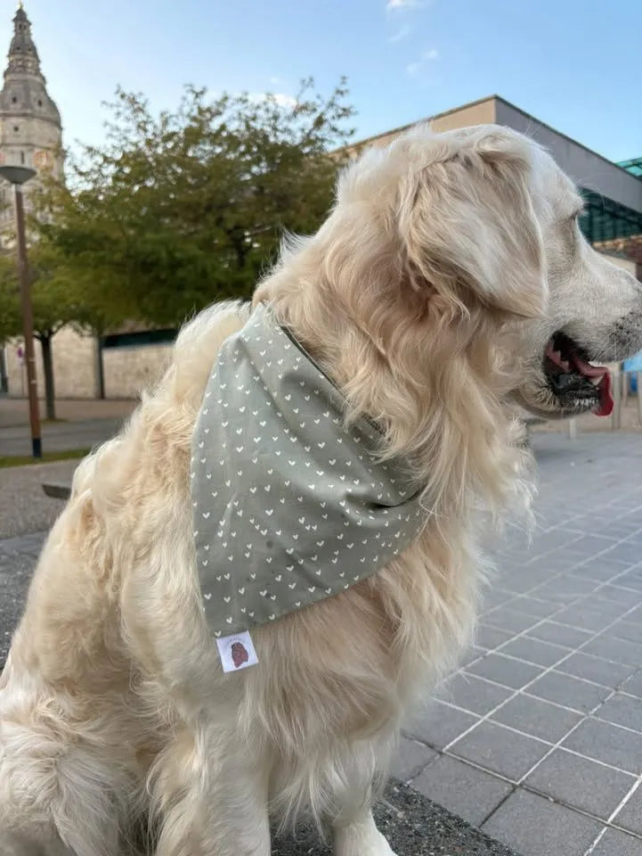 Bandana en coton - motifs