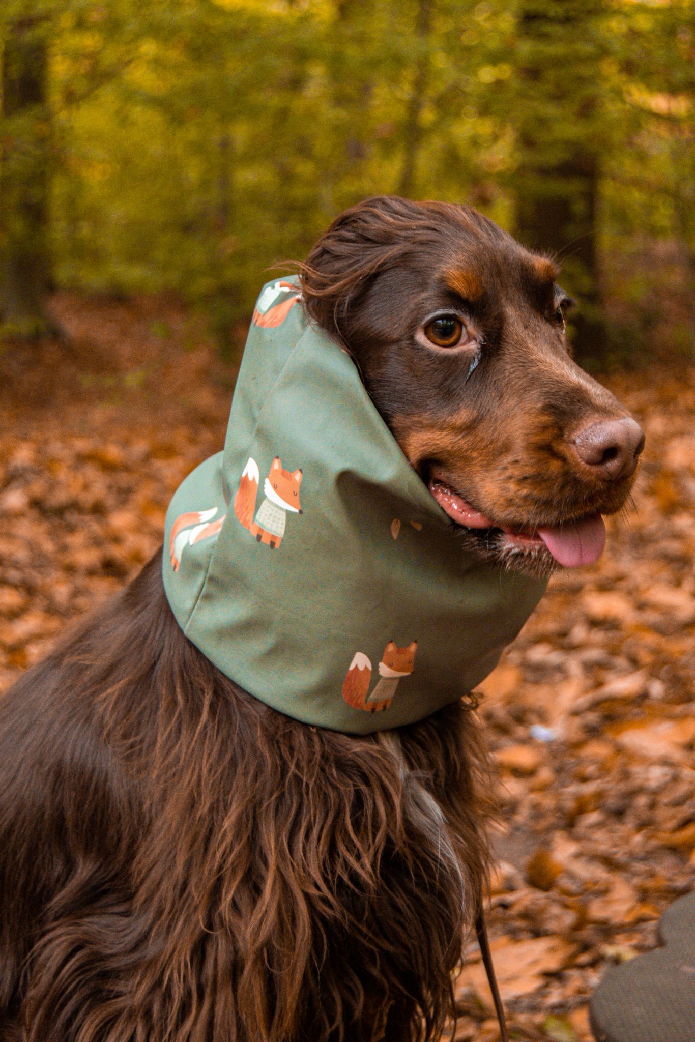 Snood imperméable à motifs