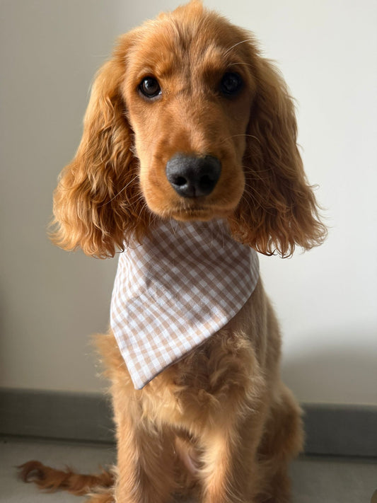 Bandana en coton - vichy