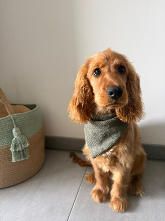 Bandana en velours côtelé