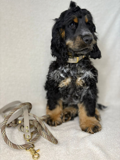 Laisse Ucky (biothane & corde)