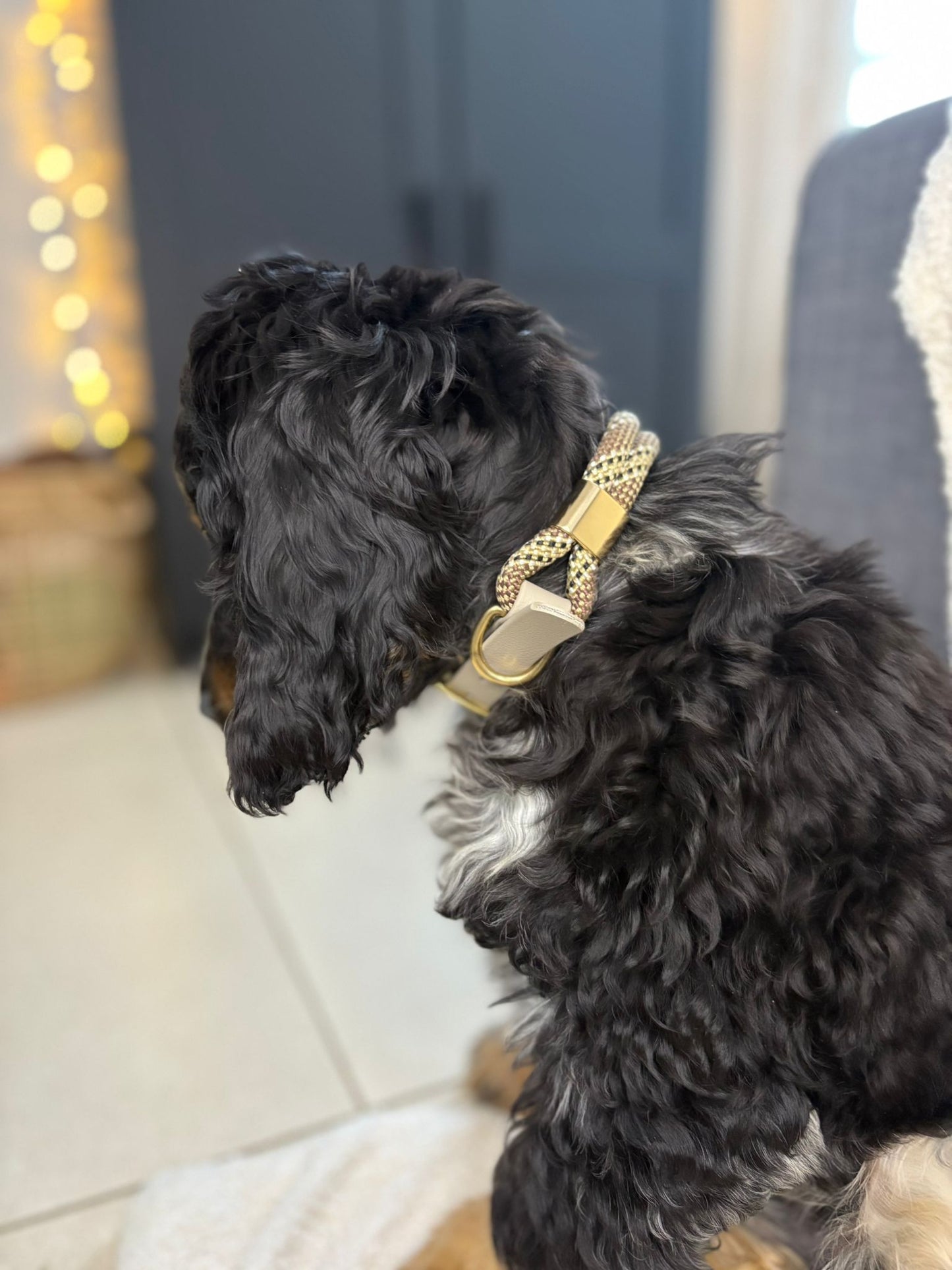 Collier Saïko : corde & biothane