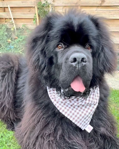Bandana en coton - vichy