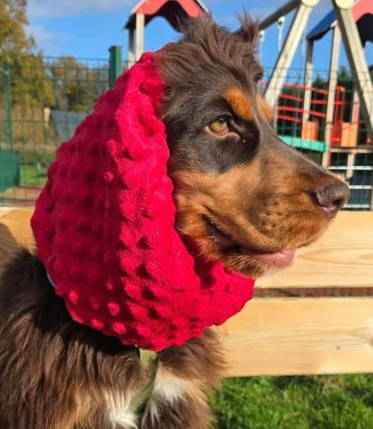 Snood polaire