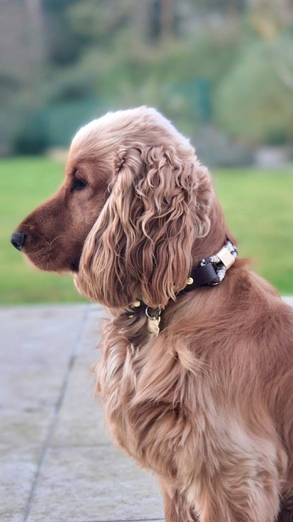 Collier Saïko : corde & biothane