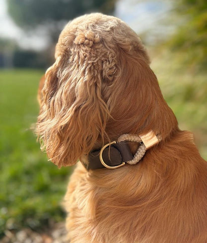 Collier Saïko : corde & biothane