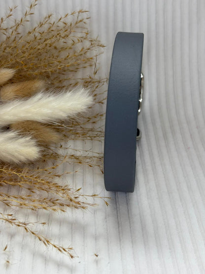 Collier en biothane - Hiver