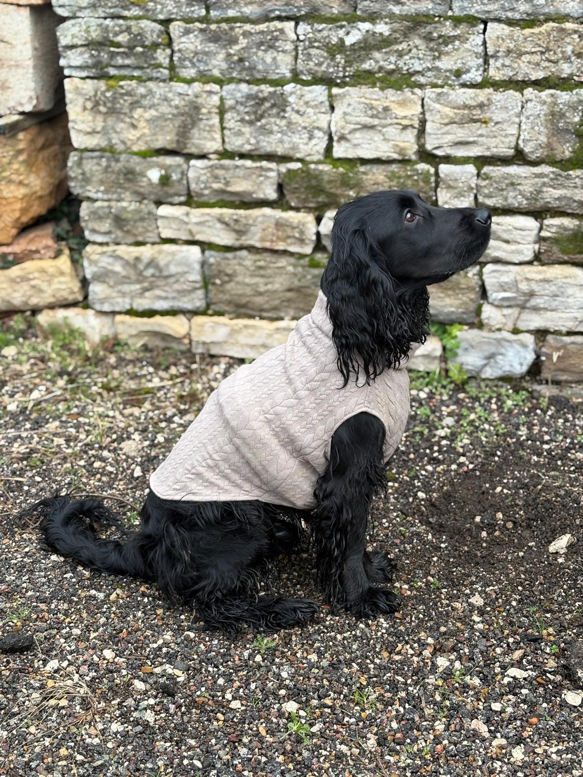 Pull en tissu sweat torsadé