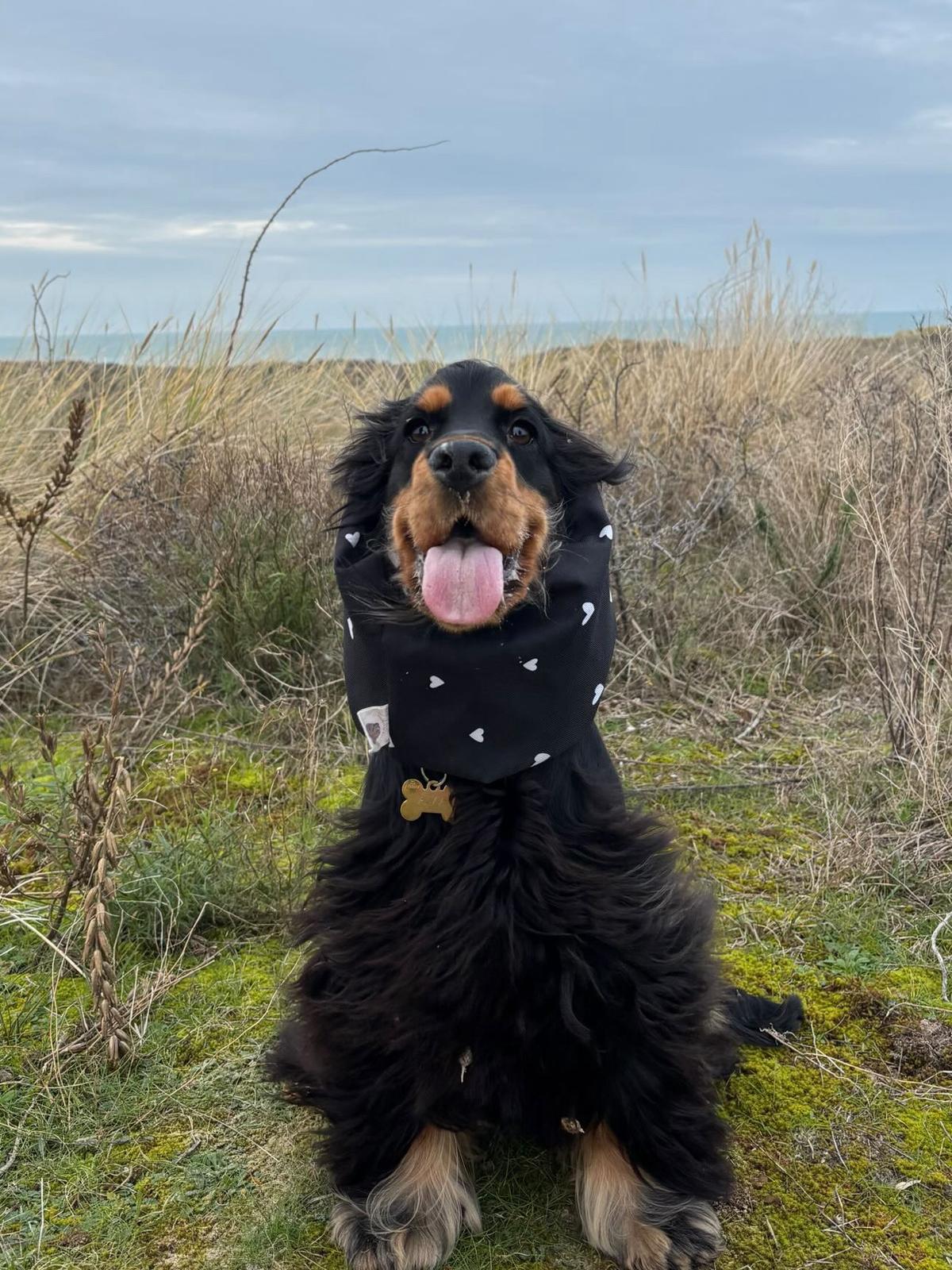 Snood imperméable - St Valentin