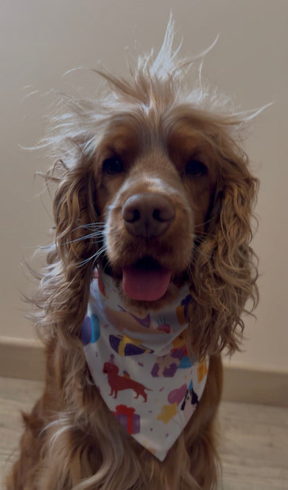 Bandana en coton - Anniversaire