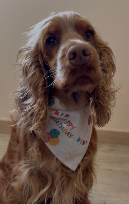 Bandana en coton - Anniversaire