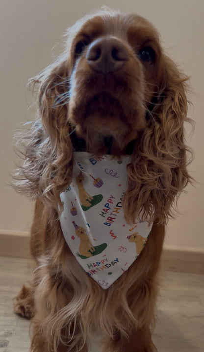 Bandana en coton - Anniversaire
