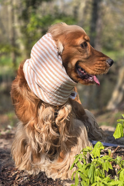 Snood en double gaze de coton