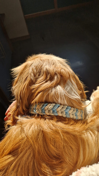 Collier Baloo