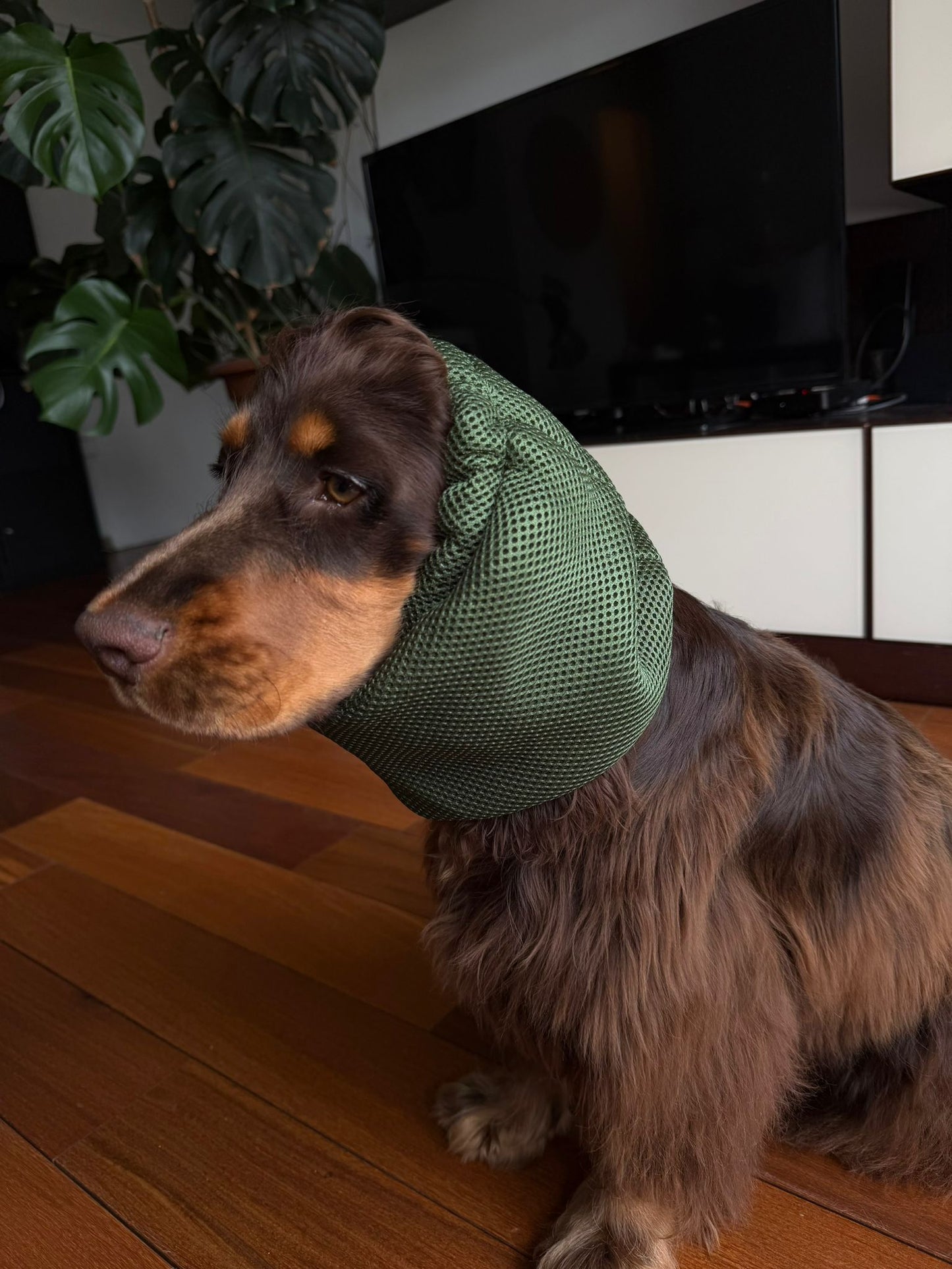 Snood filet