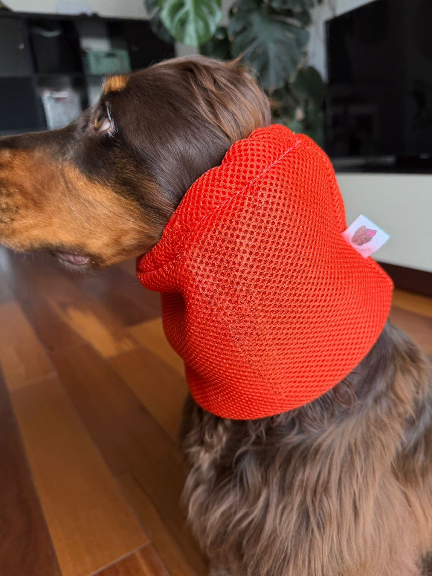 Snood filet