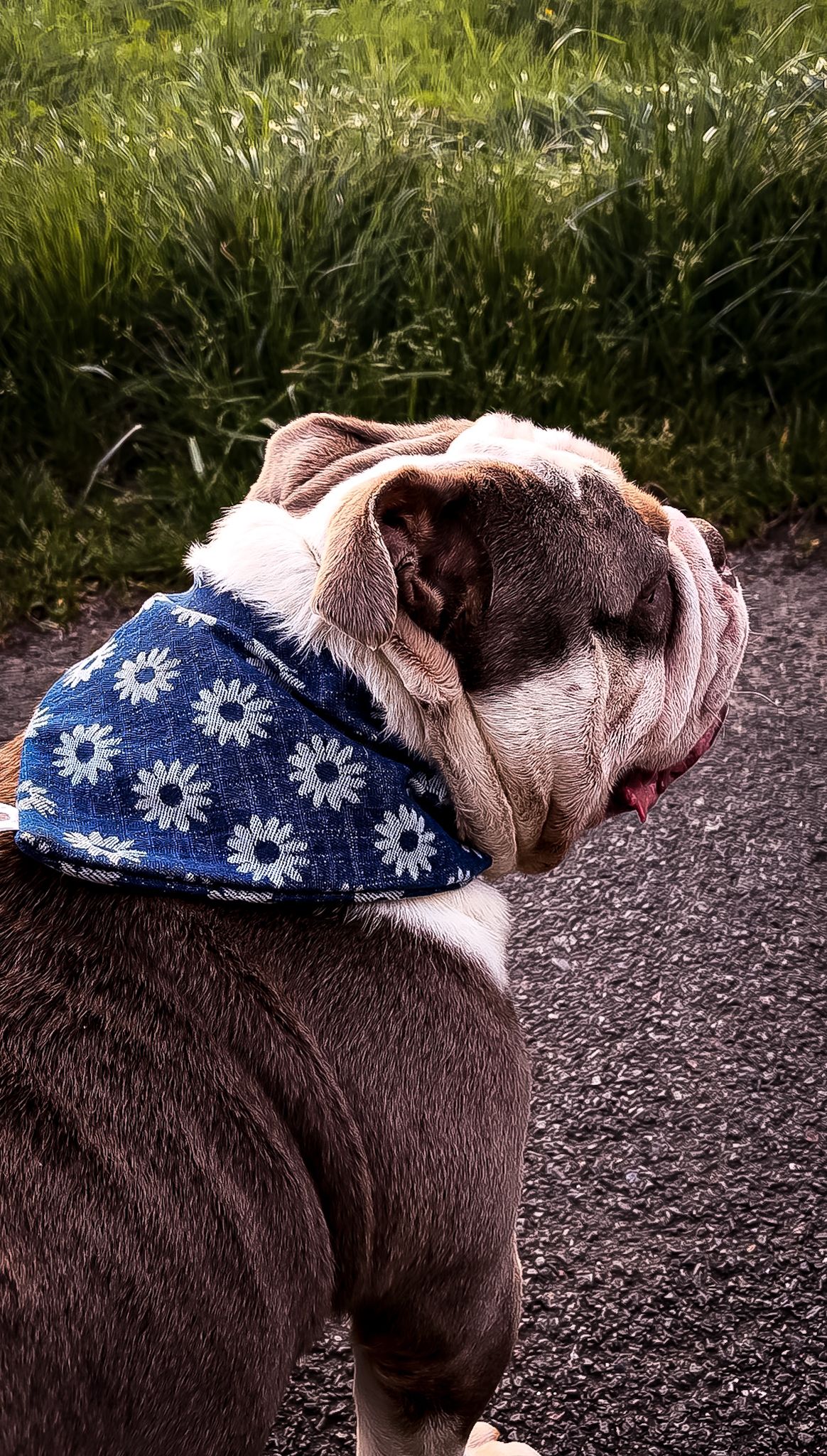 Bandana - Jean
