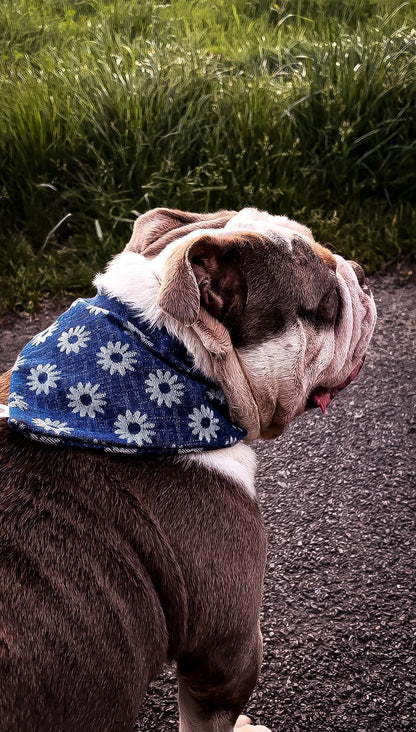 Bandana - Jean