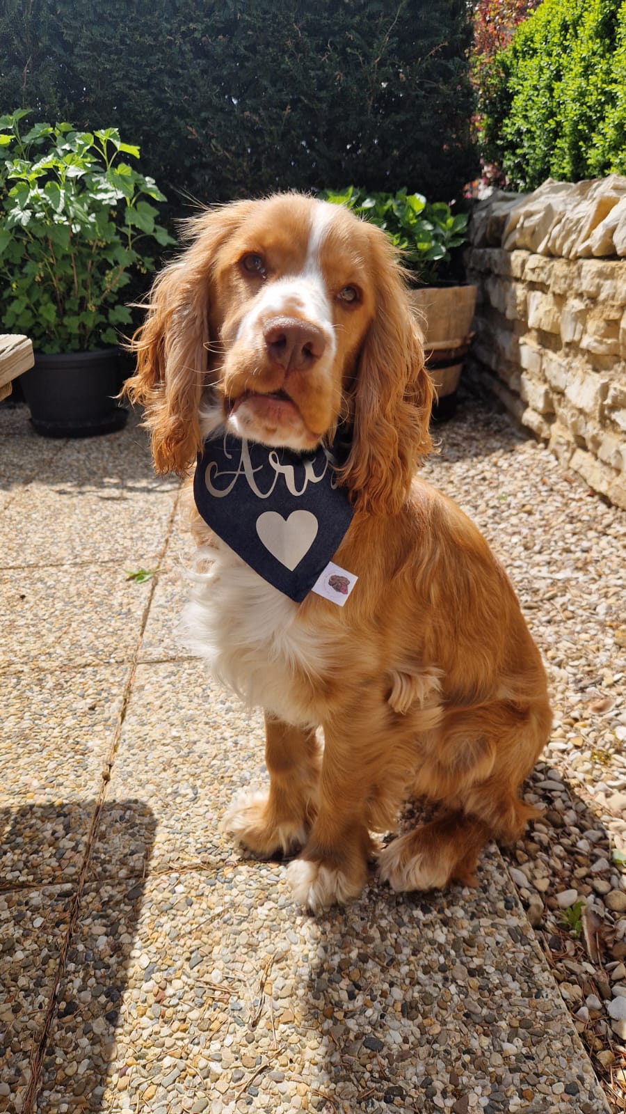 Bandana en Jean personnalisable
