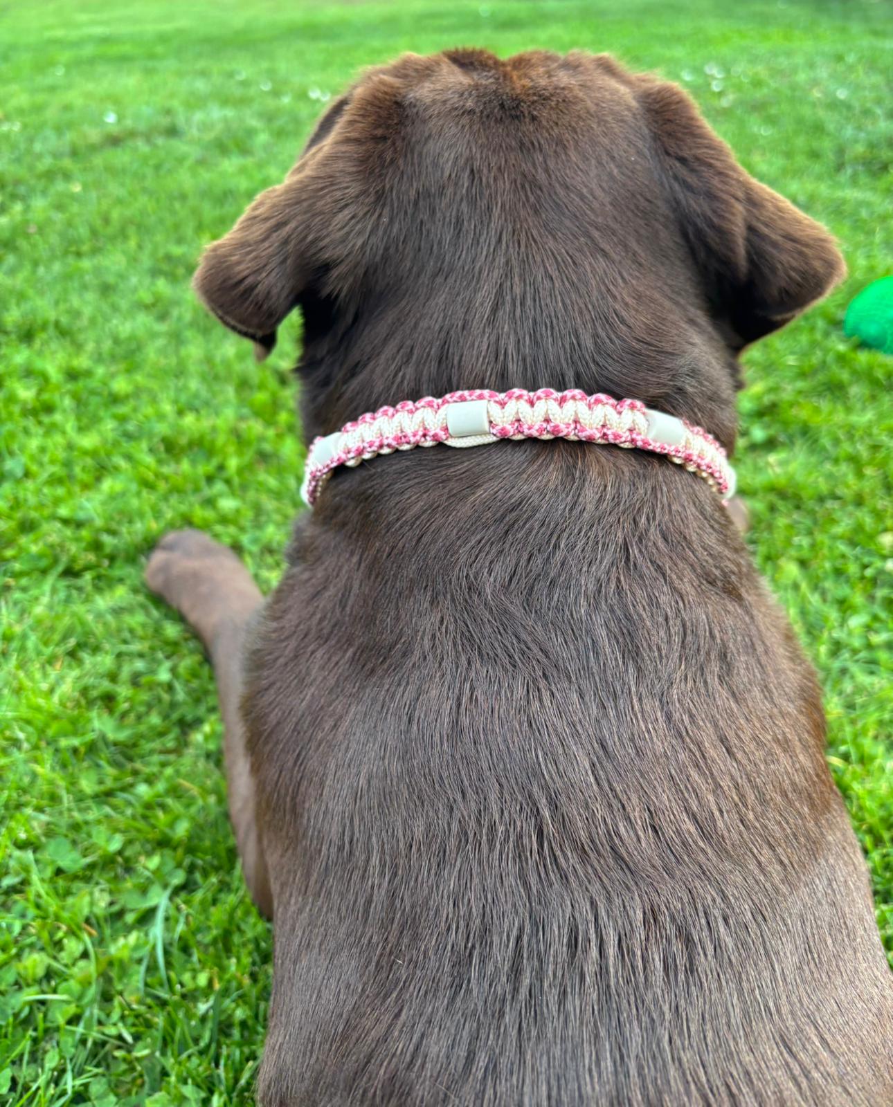 Collier antiparasitaire en paracorde - Collection Printemps