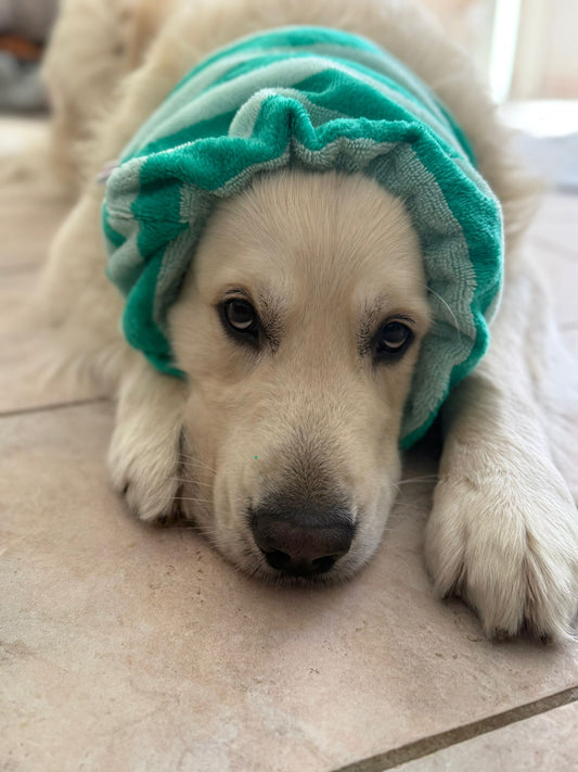 Snood en éponge bambou
