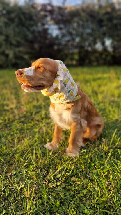Snood en double gaze de coton
