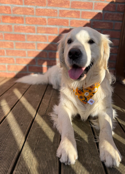 Bandana - Halloween