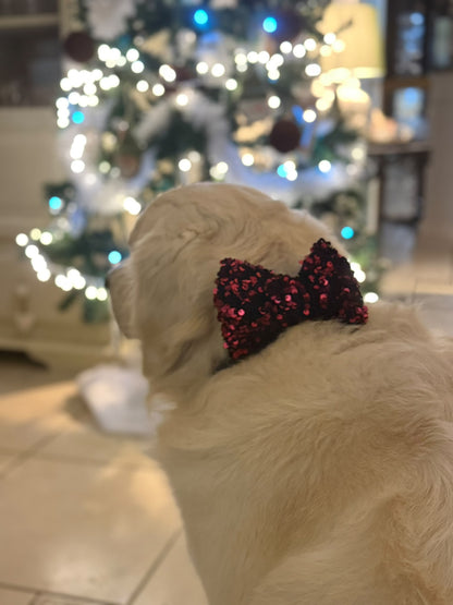 Noeud papillon en sequin