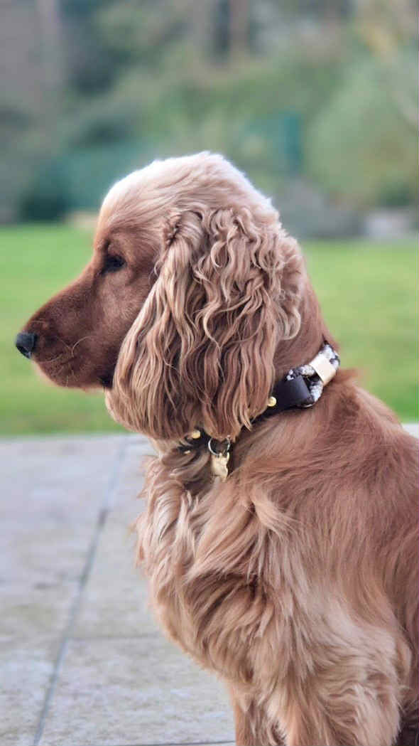 Collier Saïko : corde & biothane - collction automne