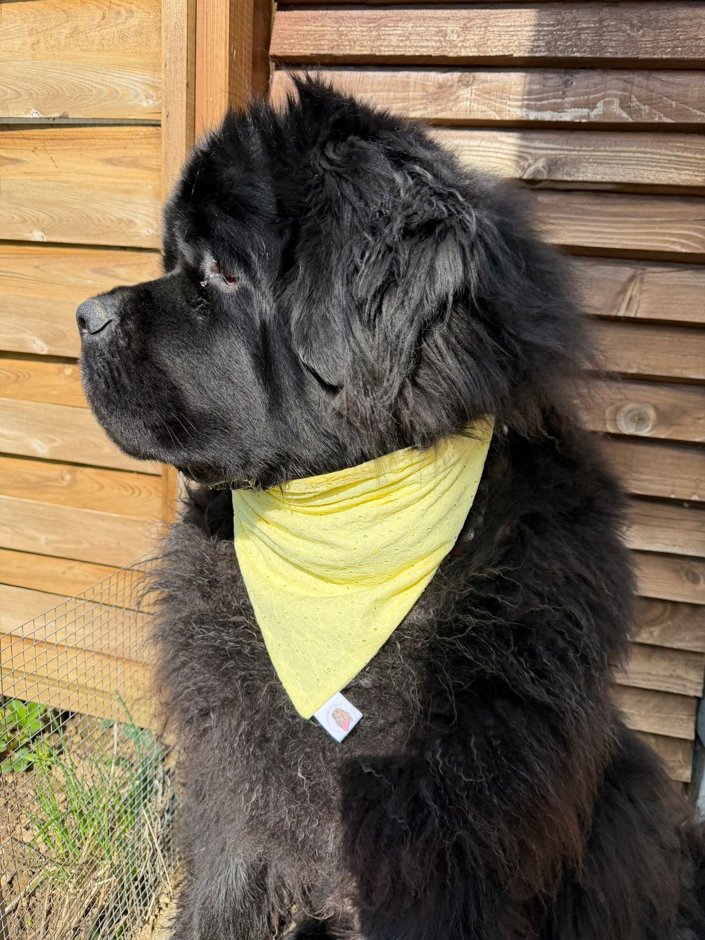 Bandana broderie anglaise