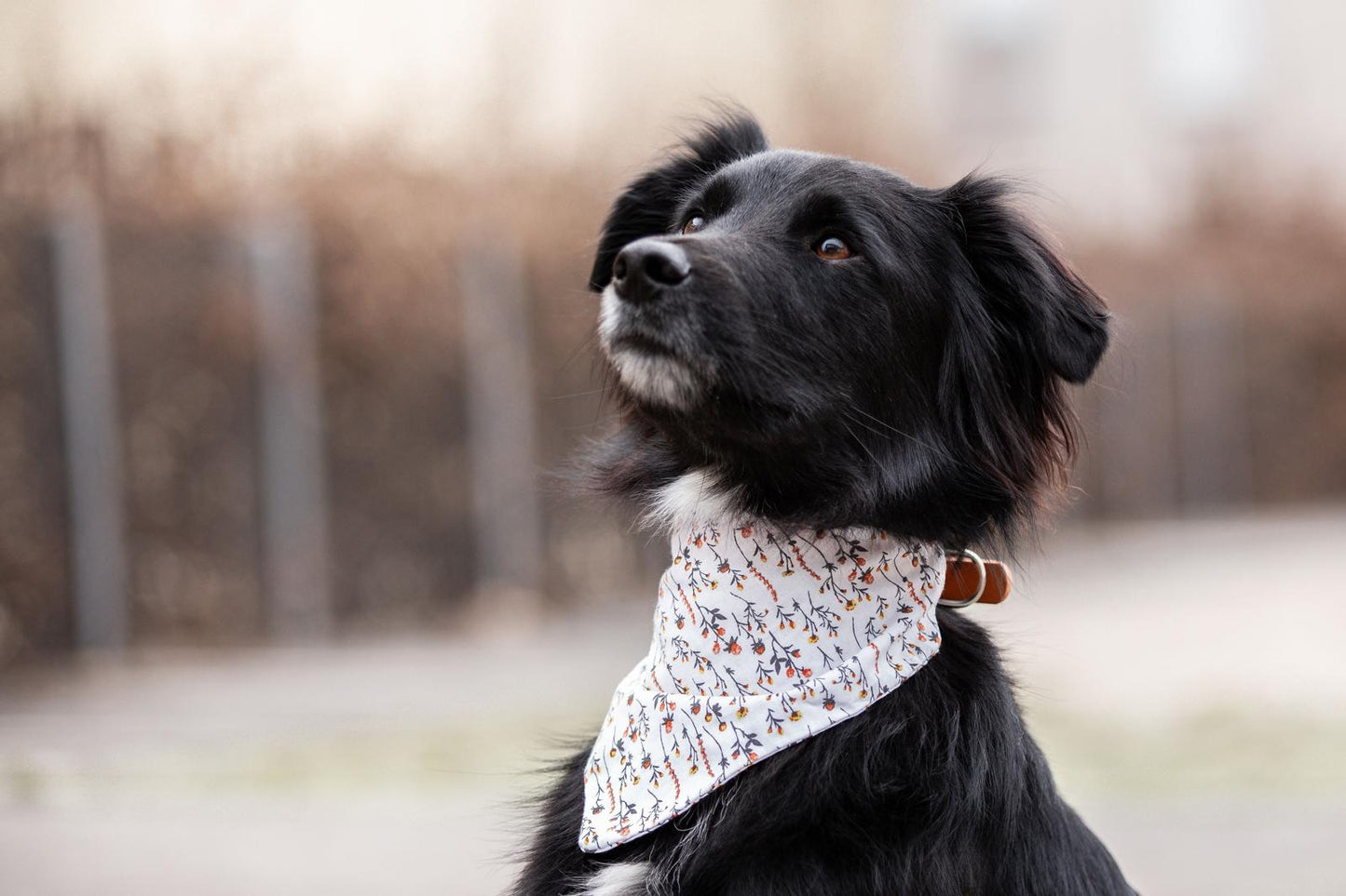 Bandana en coton - fleurs