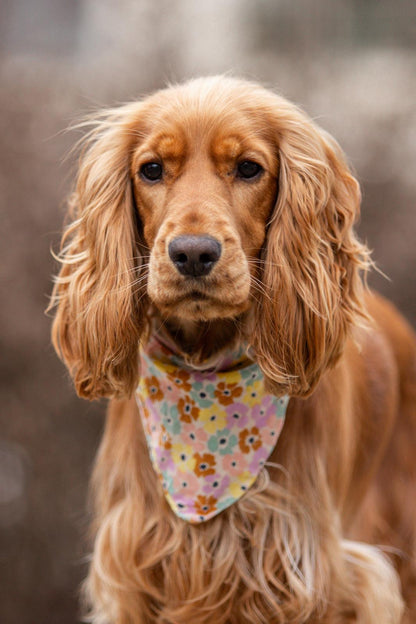 Bandana en coton - fleurs